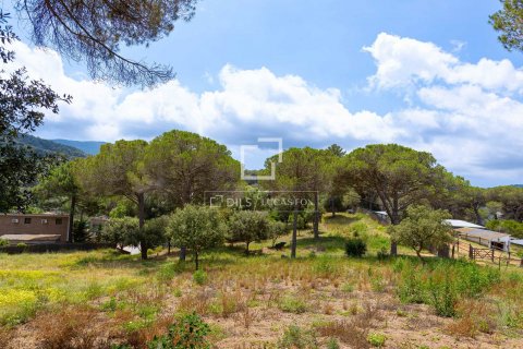 Parcela en venta en Vallromanes, Barcelona, Cataluña, Spain № 8638 - foto 18