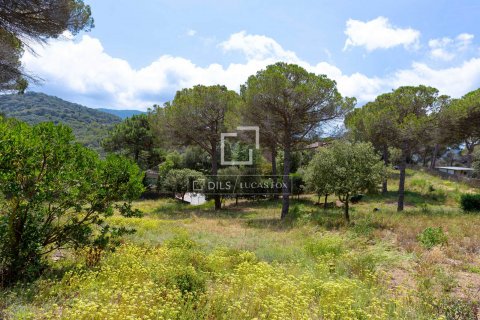 Parcela en venta en Vallromanes, Barcelona, Cataluña, Spain № 8638 - foto 20