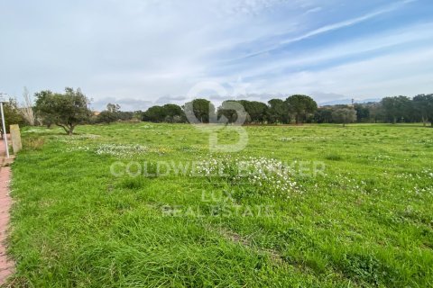 Parcela de 2929 m² en venta en Peralada, Gerona, Cataluña, Spain № 5733 - foto 2