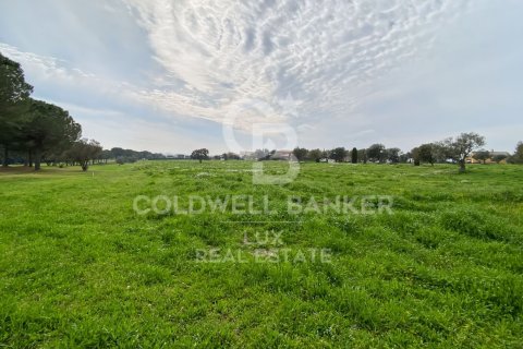 Parcela de 2929 m² en venta en Peralada, Gerona, Cataluña, Spain № 5733 - foto 3