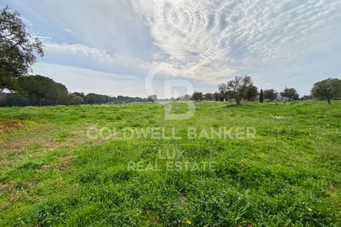 Parcela de 2929 m² en venta en Peralada, Gerona, Cataluña, Spain № 5733 - foto 5