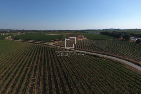 Finca de 12 dormitorios en venta en Sitges, Barcelona, Cataluña, Spain № 8685 - foto 17