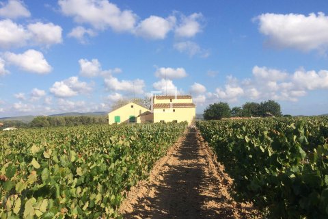 Finca de 12 dormitorios en venta en Sitges, Barcelona, Cataluña, Spain № 8685 - foto 5