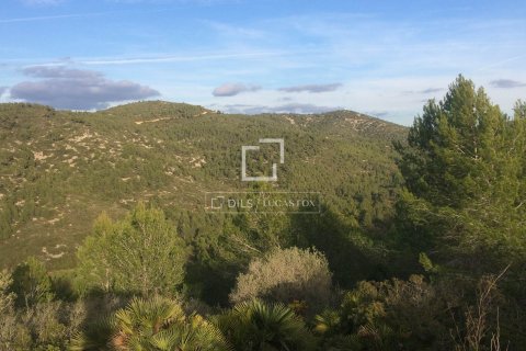590 sq.m. finca for sale in Sitges, Barcelona, Catalonia, Spain № 8686 - photo 28