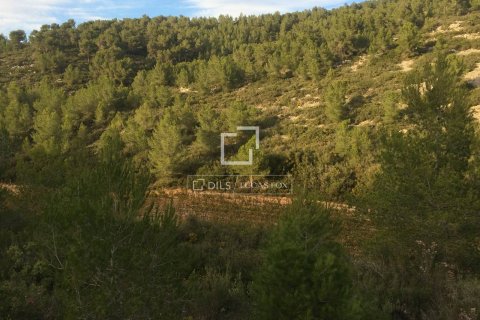 590 sq.m. finca for sale in Sitges, Barcelona, Catalonia, Spain № 8686 - photo 20
