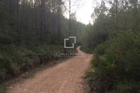 590 sq.m. finca for sale in Sitges, Barcelona, Catalonia, Spain № 8686 - photo 19