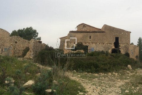 590 sq.m. finca for sale in Sitges, Barcelona, Catalonia, Spain № 8686 - photo 3