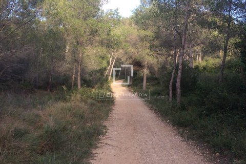 590 sq.m. finca for sale in Sitges, Barcelona, Catalonia, Spain № 8686 - photo 23