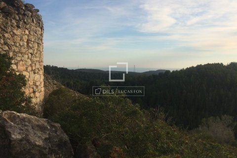 590 sq.m. finca for sale in Sitges, Barcelona, Catalonia, Spain № 8686 - photo 26
