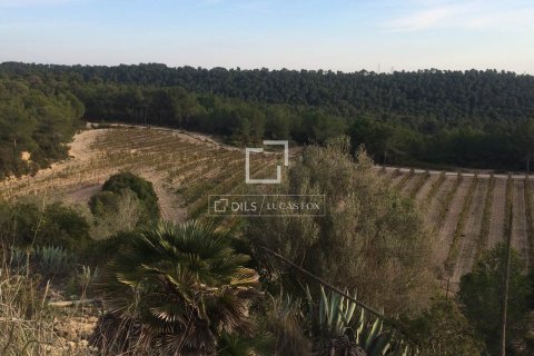590 sq.m. finca for sale in Sitges, Barcelona, Catalonia, Spain № 8686 - photo 18