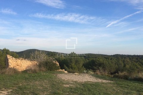 590 sq.m. finca for sale in Sitges, Barcelona, Catalonia, Spain № 8686 - photo 24