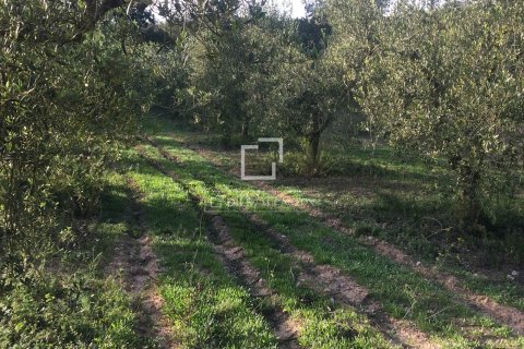 590 sq.m. finca for sale in Sitges, Barcelona, Catalonia, Spain № 8686 - photo 8