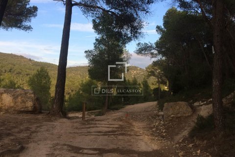 590 sq.m. finca for sale in Sitges, Barcelona, Catalonia, Spain № 8686 - photo 22