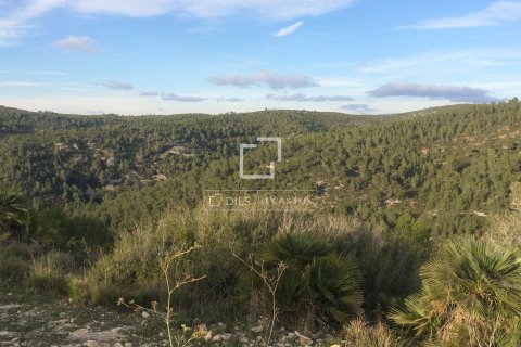 590 sq.m. finca for sale in Sitges, Barcelona, Catalonia, Spain № 8686 - photo 29