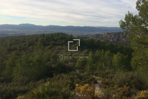 590 sq.m. finca for sale in Sitges, Barcelona, Catalonia, Spain № 8686 - photo 27