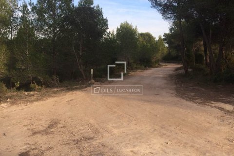 590 sq.m. finca for sale in Sitges, Barcelona, Catalonia, Spain № 8686 - photo 25