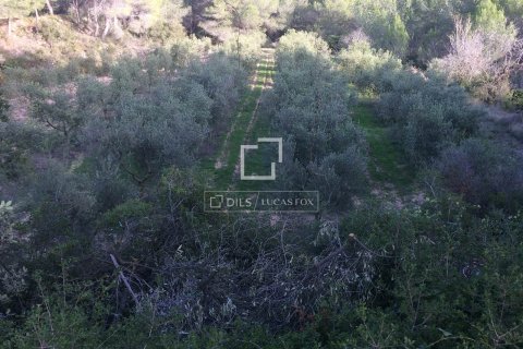 590 sq.m. finca for sale in Sitges, Barcelona, Catalonia, Spain № 8686 - photo 16
