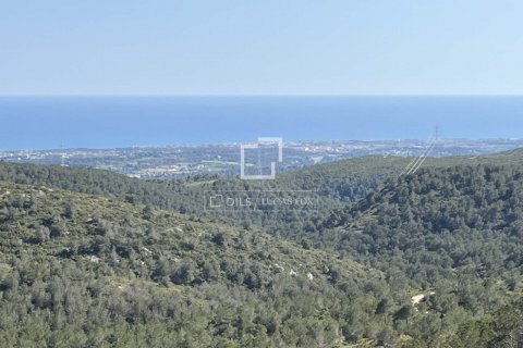 590 sq.m. finca for sale in Sitges, Barcelona, Catalonia, Spain № 8686 - photo 5