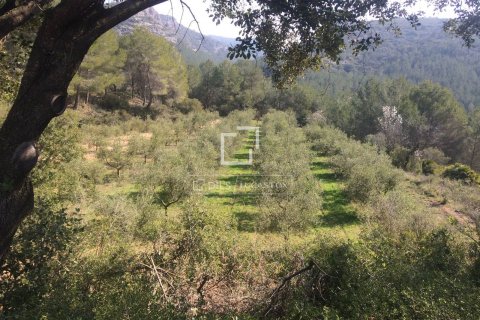 590 sq.m. finca for sale in Sitges, Barcelona, Catalonia, Spain № 8686 - photo 7