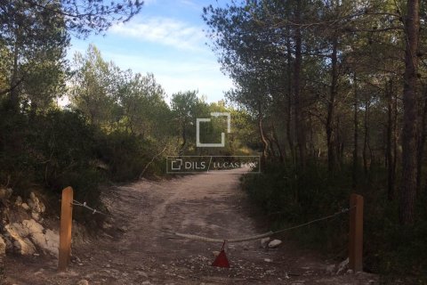 590 sq.m. finca for sale in Sitges, Barcelona, Catalonia, Spain № 8686 - photo 17