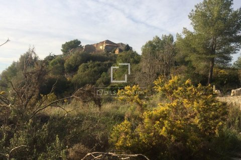 590 sq.m. finca for sale in Sitges, Barcelona, Catalonia, Spain № 8686 - photo 6