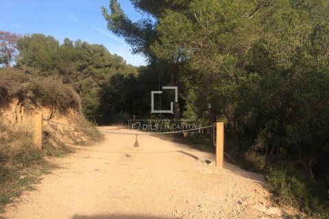 590 sq.m. finca for sale in Sitges, Barcelona, Catalonia, Spain № 8686 - photo 2