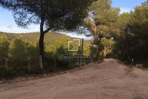 590 sq.m. finca for sale in Sitges, Barcelona, Catalonia, Spain № 8686 - photo 4