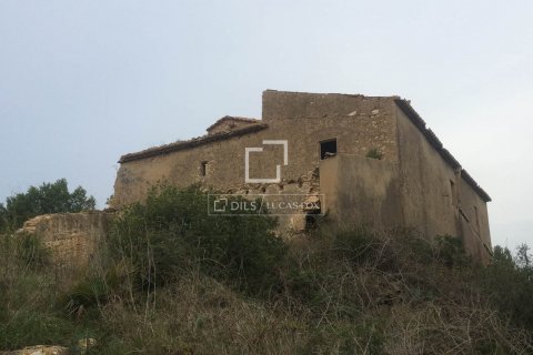 590 sq.m. finca for sale in Sitges, Barcelona, Catalonia, Spain № 8686 - photo 9