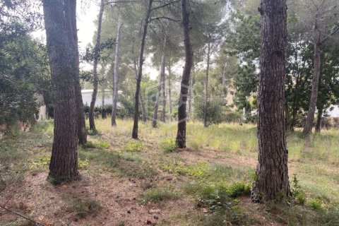 Parcela en venta en Calafell, Tarragona, Cataluña, Spain № 950