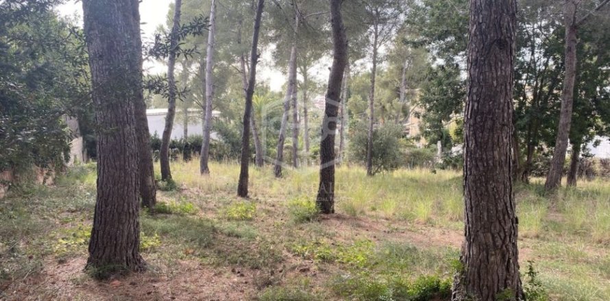 Parcela en venta en Calafell, Tarragona, Cataluña, Spain № 950