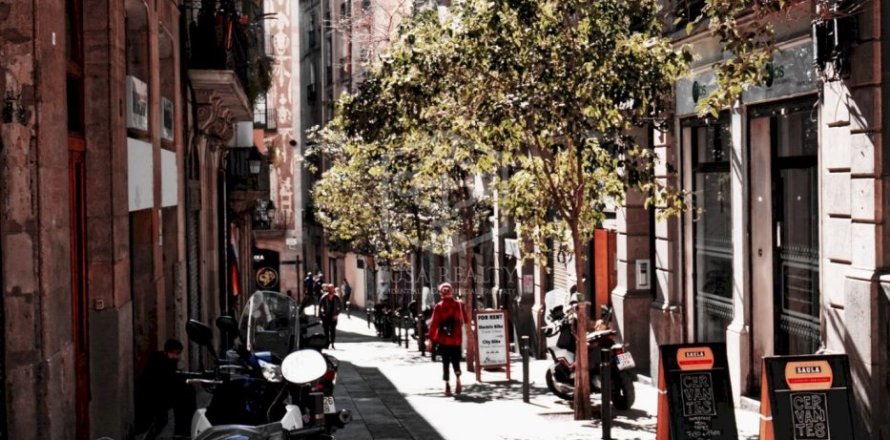 Propiedad comercial de 365 m² en venta en Barcelona, Cataluña, Spain № 953