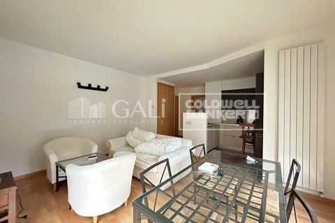 1 bedroom apartment for rent in Principado De Andorra (Ninguna Poblacion Tiene C.P.), Lleida, Catalonia, Spain № 7696 - photo 2