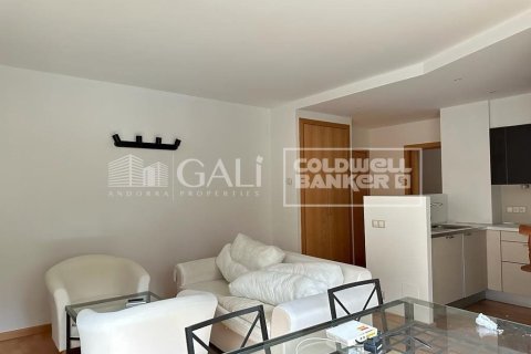Apartamento de 1 dormitorio en alquiler en Principado De Andorra (Ninguna Poblacion Tiene C.P.), Lérida, Cataluña, Spain № 7696