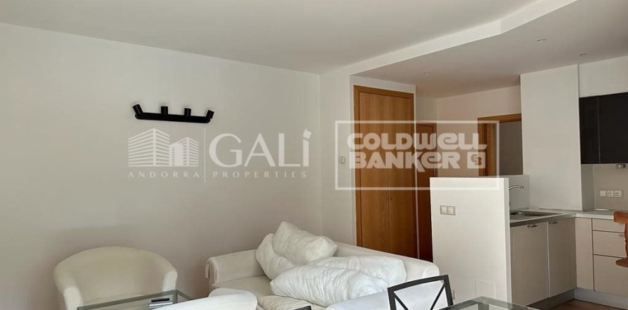 1 bedroom apartment for rent in Principado De Andorra (Ninguna Poblacion Tiene C.P.), Lleida, Catalonia, Spain № 7696