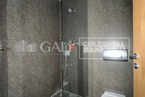 1 bedroom apartment for rent in Principado De Andorra (Ninguna Poblacion Tiene C.P.), Lleida, Catalonia, Spain № 7696 - photo 8