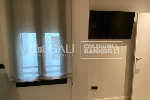 Снять в аренду пентхаус в Андорра, Испания с 2 спальни, 90м², № 7693 - фото 13