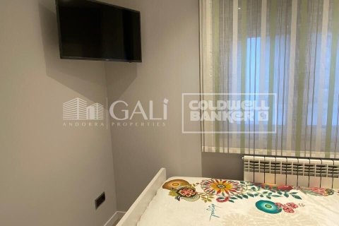 Снять в аренду пентхаус в Андорра, Испания с 2 спальни, 90м², № 7693 - фото 10