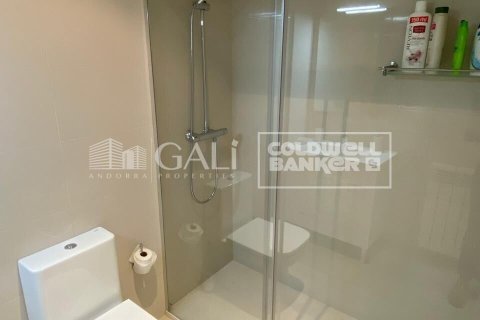 Снять в аренду пентхаус в Андорра, Испания с 2 спальни, 90м², № 7693 - фото 15