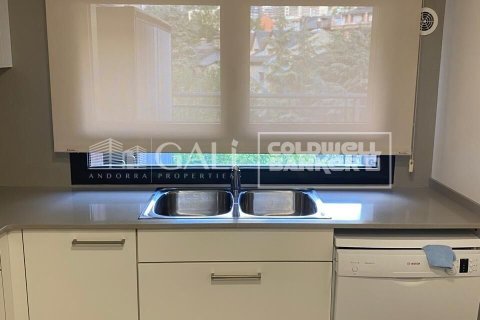 Снять в аренду пентхаус в Андорра, Испания с 2 спальни, 90м², № 7693 - фото 6
