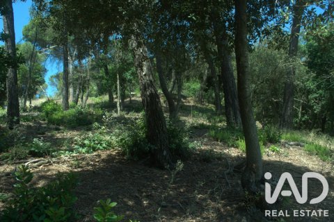 Parcela de 1029 m² en venta en Sant Cugat del Vallès, Barcelona, Cataluña, Spain № 8362 - foto 10