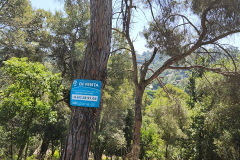 Parcela de 1029 m² en venta en Sant Cugat del Vallès, Barcelona, Cataluña, Spain № 8362 - foto 3