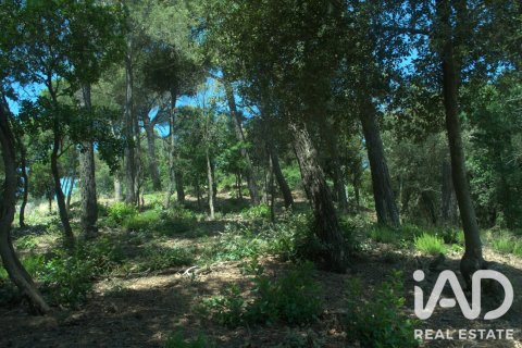 Parcela de 1029 m² en venta en Sant Cugat del Vallès, Barcelona, Cataluña, Spain № 8362 - foto 13