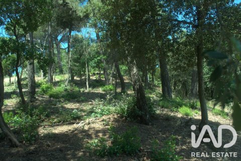 Parcela de 1029 m² en venta en Sant Cugat del Vallès, Barcelona, Cataluña, Spain № 8362 - foto 12