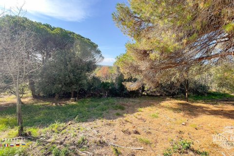 Parcela de 17000 m² en venta en Condado del Jaruco, Gerona, Cataluña, Spain № 3090 - foto 8