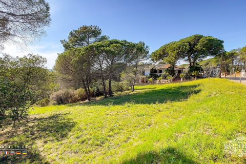 Parcela de 17000 m² en venta en Condado del Jaruco, Gerona, Cataluña, Spain № 3090 - foto 15