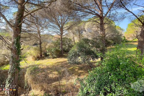 Parcela de 17000 m² en venta en Condado del Jaruco, Gerona, Cataluña, Spain № 3090 - foto 6