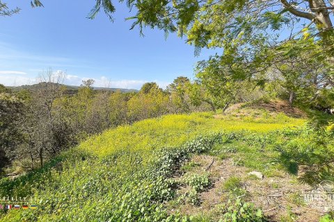 Parcela de 17000 m² en venta en Condado del Jaruco, Gerona, Cataluña, Spain № 3090 - foto 5