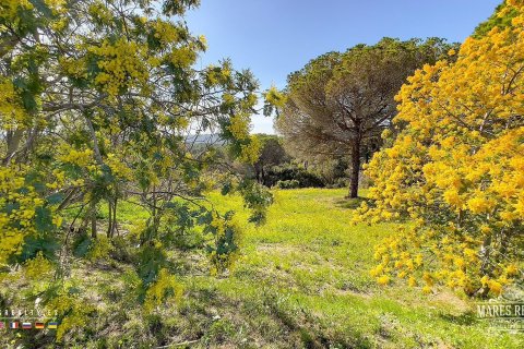 Parcela de 17000 m² en venta en Condado del Jaruco, Gerona, Cataluña, Spain № 3090 - foto 4