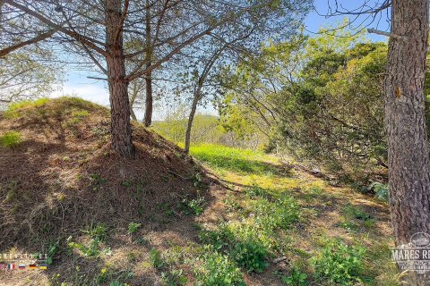 Parcela de 17000 m² en venta en Condado del Jaruco, Gerona, Cataluña, Spain № 3090 - foto 17