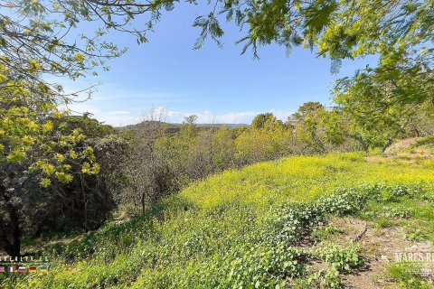 Parcela de 17000 m² en venta en Condado del Jaruco, Gerona, Cataluña, Spain № 3090 - foto 11